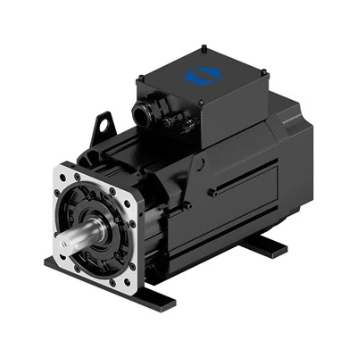 Servo trifazni motor